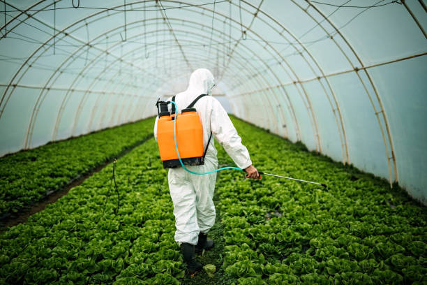 Best Local Pest Control Services  in Diablo Grande, CA