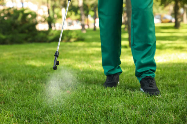 Best Affordable Pest Control Services  in Diablo Grande, CA