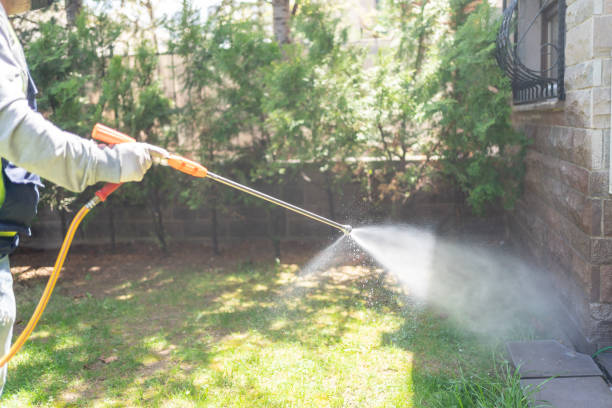Best Pest Prevention Services  in Diablo Grande, CA