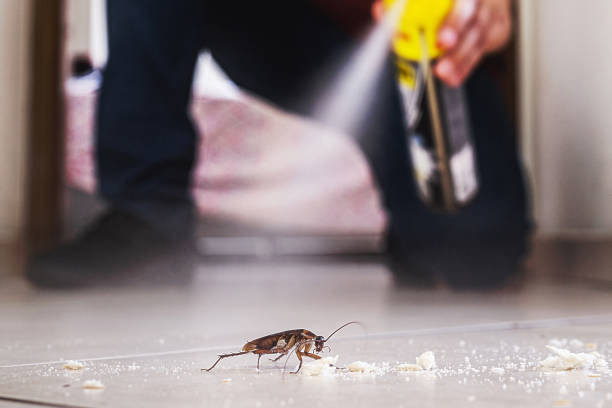 Best Cockroach Control Services  in Diablo Grande, CA