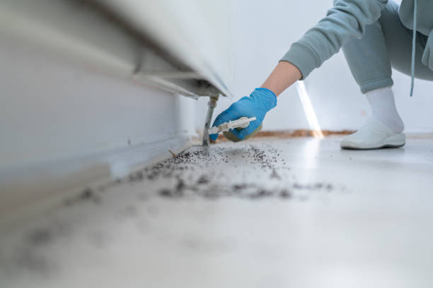 Best Best Pest Control Companies  in Diablo Grande, CA